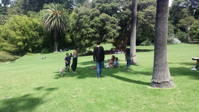 12630934_469890256528870_436492597_o