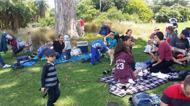 Melbourne. Il picnici dei nuovi genitori 2016