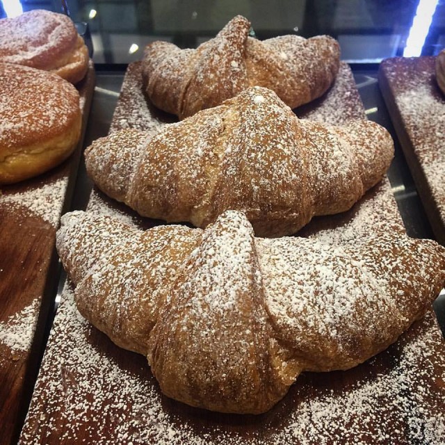 14469516_307591379613754_5345130195232770667_n