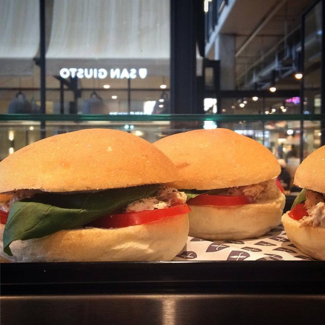 14670673_319628728410019_6902317702202174837_n